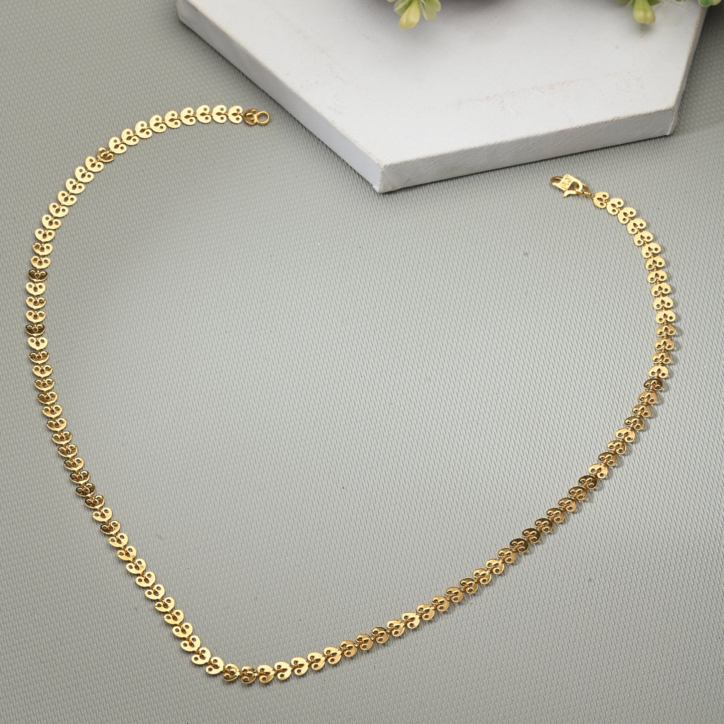 Silver Plated Anklets & 22 inch Gold Plated Chain