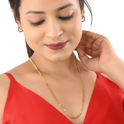 Silver Plated Anklets & 22 inch Gold Plated Chain