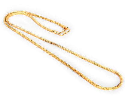 Silver Plated Anklets & 22 inch Gold Plated Chain