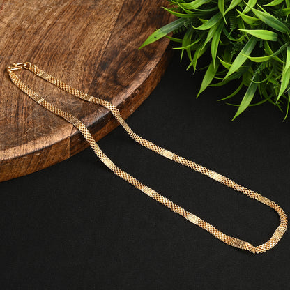 Silver Plated Anklets & 22 inch Gold Plated Chain